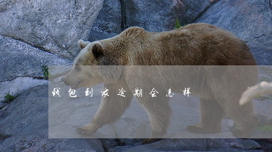 钱包到家逾期会怎样 钱包到家逾期会怎样