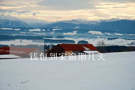 钱包到家逾期几天 钱包到家逾期几天