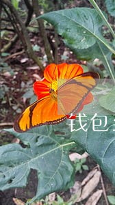 钱包到家逾期十几天了 钱包到家逾期十几天了