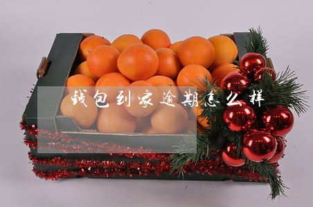 钱包到家逾期怎么样 钱包到家逾期怎么样