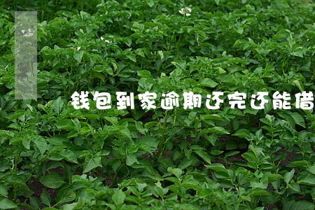 钱包到家逾期还完还能借么 钱包到家逾期还完还能借么