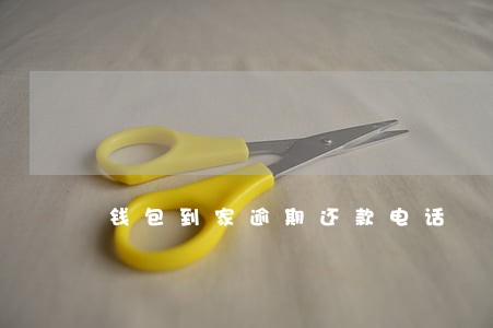 钱包到家逾期还款电话 钱包到家逾期还款电话