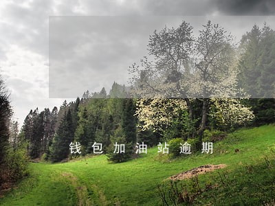 钱包加油站逾期 钱包加油站逾期