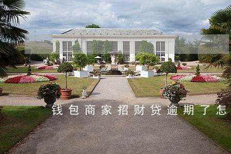 钱包商家招财贷逾期了怎么办 钱包商家招财贷逾期了怎么办