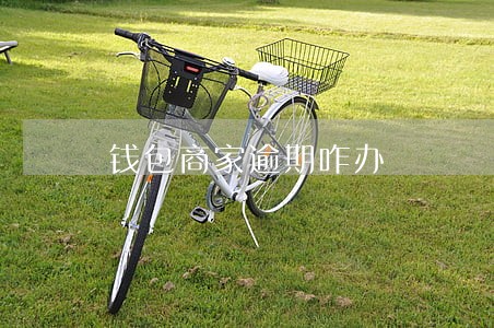 钱包商家逾期咋办