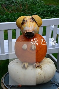 钱包备用金逾期一天会上征信吗 钱包备用金逾期一天会上征信吗