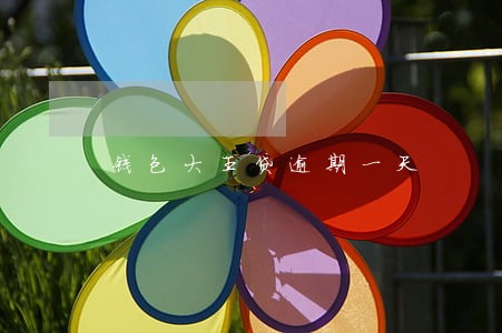 钱包大王贷逾期一天 钱包大王贷逾期一天