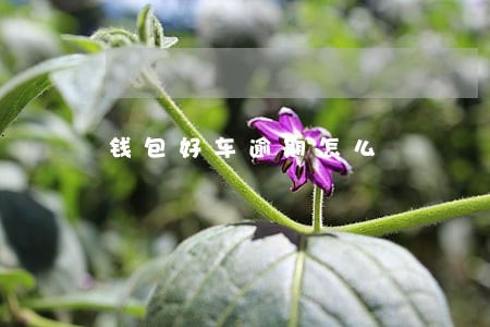 钱包好车逾期怎么 钱包好车逾期怎么