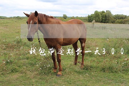 钱包带逾期费一天300 钱包带逾期费一天300