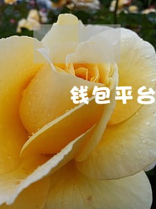 钱包平台逾期