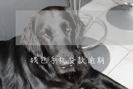 钱包手机贷款逾期 钱包手机贷款逾期
