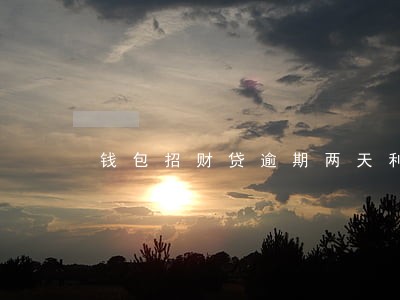 钱包招财贷逾期两天利息200 钱包招财贷逾期两天利息200