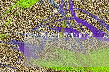 钱包易贷不小心逾期一天 钱包易贷不小心逾期一天