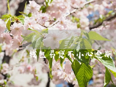 钱包易贷不小心逾期了 钱包易贷不小心逾期了