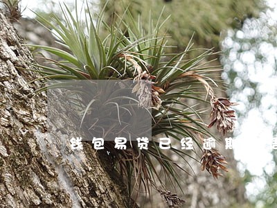 钱包易贷已经逾期一周 钱包易贷已经逾期一周