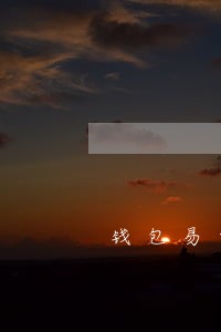 钱包易贷有保险能逾期吗 钱包易贷有保险能逾期吗
