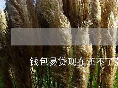 钱包易贷现在还不了款逾期了找谁 钱包易贷现在还不了款逾期了找谁
