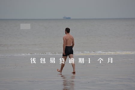 钱包易贷逾期1个月 钱包易贷逾期1个月