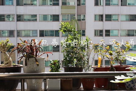 钱包易贷逾期2天可以再借吗 钱包易贷逾期2天可以再借吗