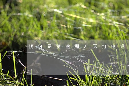 钱包易贷逾期2天打电话 钱包易贷逾期2天打电话