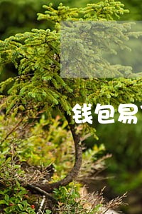 钱包易贷逾期2年 钱包易贷逾期2年