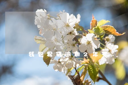 钱包易贷逾期2年多 钱包易贷逾期2年多