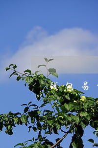 钱包易贷逾期2年没有还 钱包易贷逾期2年没有还