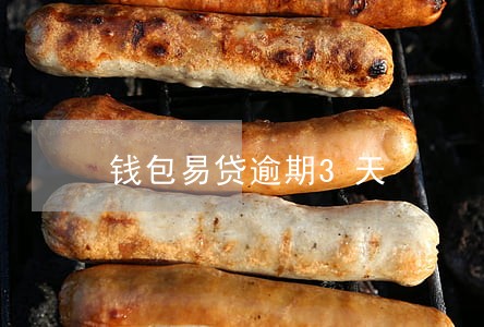 钱包易贷逾期3天