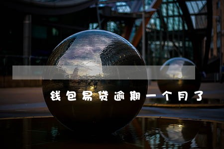 钱包易贷逾期一个月了 钱包易贷逾期一个月了