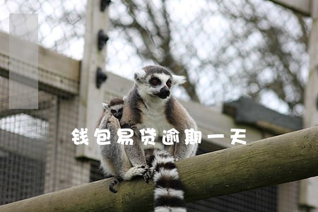 钱包易贷逾期一天 钱包易贷逾期一天