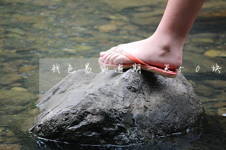钱包易贷逾期一天50块 钱包易贷逾期一天50块