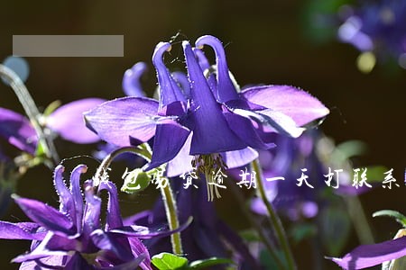 钱包易贷逾期一天打联系人 钱包易贷逾期一天打联系人