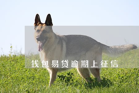 钱包易贷逾期上征信 钱包易贷逾期上征信
