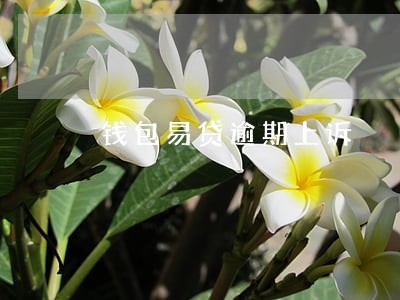 钱包易贷逾期上诉 钱包易贷逾期上诉