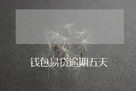钱包易贷逾期五天 钱包易贷逾期五天