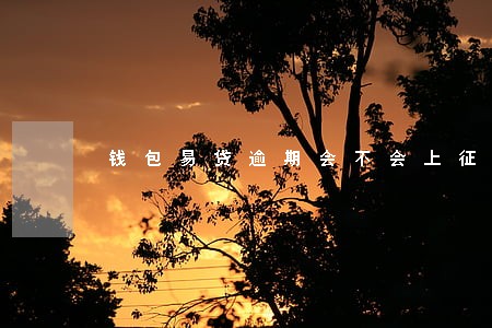 钱包易贷逾期会不会上征信 钱包易贷逾期会不会上征信