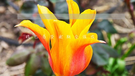 钱包易贷逾期会催收 钱包易贷逾期会催收