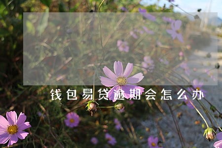 钱包易贷逾期会怎么办 钱包易贷逾期会怎么办