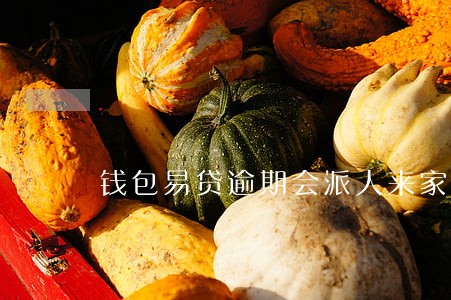 钱包易贷逾期会派人来家里吗 钱包易贷逾期会派人来家里吗