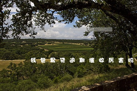 钱包易贷逾期催收厉害吗 钱包易贷逾期催收厉害吗