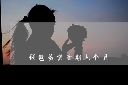 钱包易贷逾期六个月 钱包易贷逾期六个月