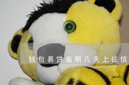 钱包易贷逾期几天上征信 钱包易贷逾期几天上征信