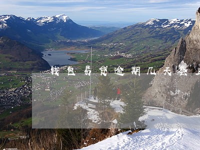 钱包易贷逾期几天会上征信 钱包易贷逾期几天会上征信