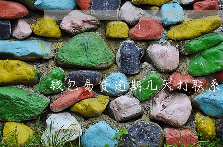 钱包易贷逾期几天打联系人 钱包易贷逾期几天打联系人