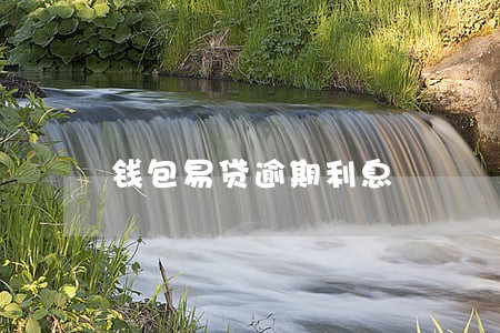 钱包易贷逾期利息 钱包易贷逾期利息