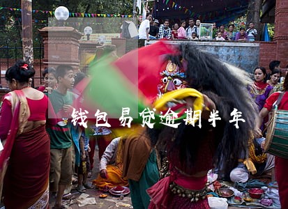 钱包易贷逾期半年 钱包易贷逾期半年