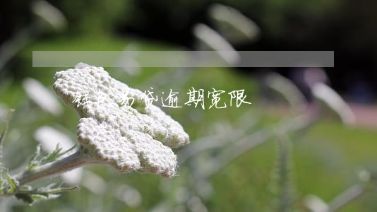 钱包易贷逾期宽限 钱包易贷逾期宽限