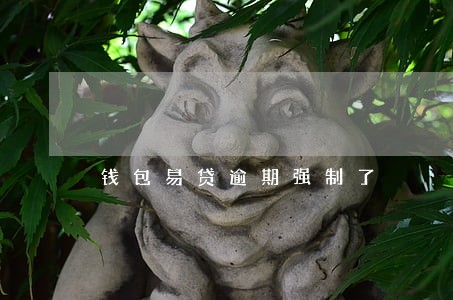 钱包易贷逾期强制了 钱包易贷逾期强制了