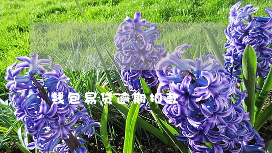钱包易贷逾期扣款 钱包易贷逾期扣款