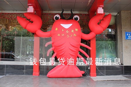 钱包易贷逾期最新消息 钱包易贷逾期最新消息